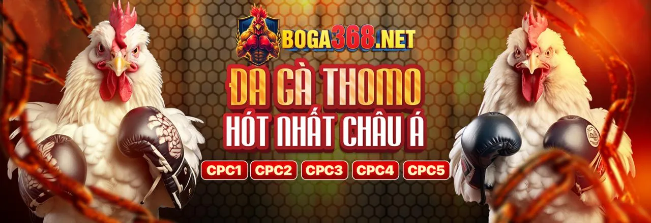 Đá gà trực tuyến với dbet code