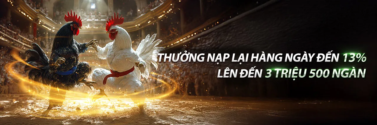 Hình ảnh chính blog dbet code