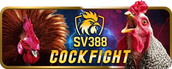 Chơi slot game trên di động với dbet code