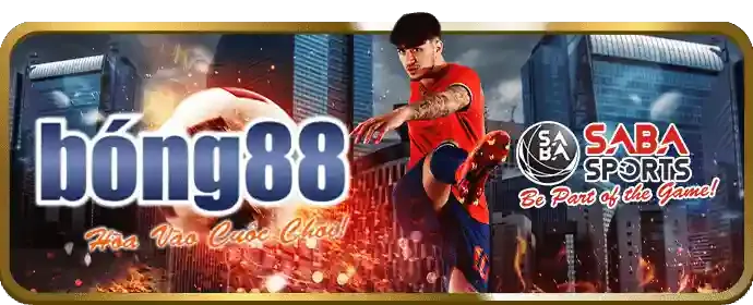 Hướng dẫn chiến lược cá cược thể thao hiệu quả với dbet code