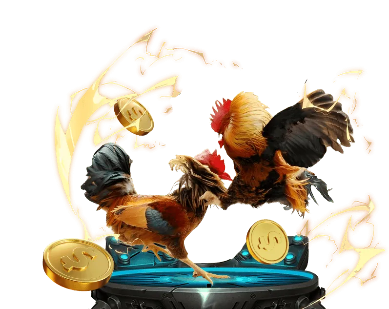 dbet code - Uy tín và Bảo mật